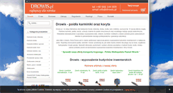 Desktop Screenshot of drowis.pl